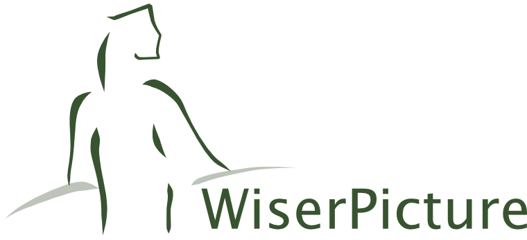 WiserPicture